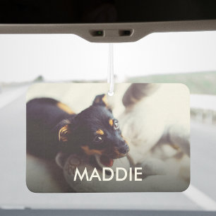 Design Your Own Pets Photo And Name Personalised Car Air Freshener