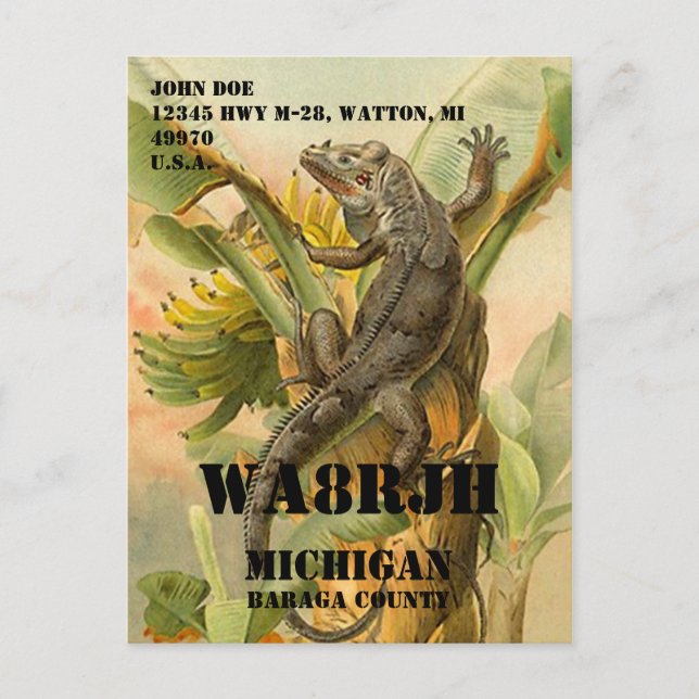 Design Your Own QSL HAM Radio Operator Op Frog Postcard (Front)