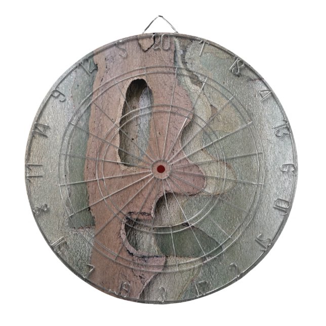 designed by nature dartboard (Front)