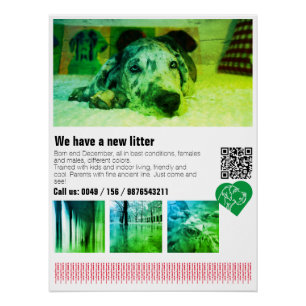 Designer Great Dane Puppy Poster