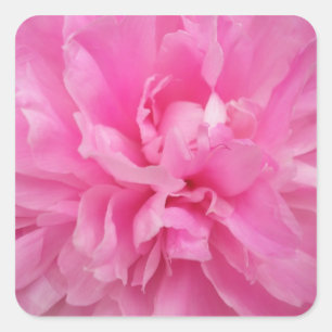 DESIGNER PINK FLORAL ENVELOPE SEAL AND STICKERS