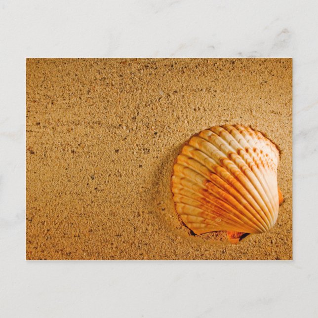 Designer Save The Dates Card (Front)