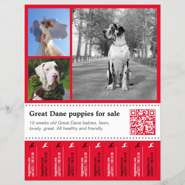 Designer Tear off Great Dane Flyer (Front)