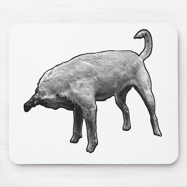 Desk Buddy with a Nose-Tuck Mouse Mat (Front)