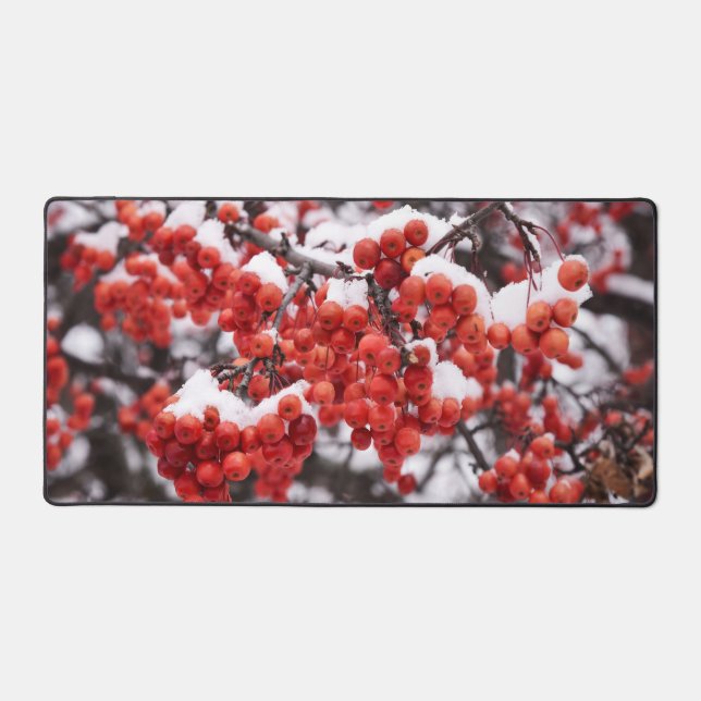 Desk Mat (Front)