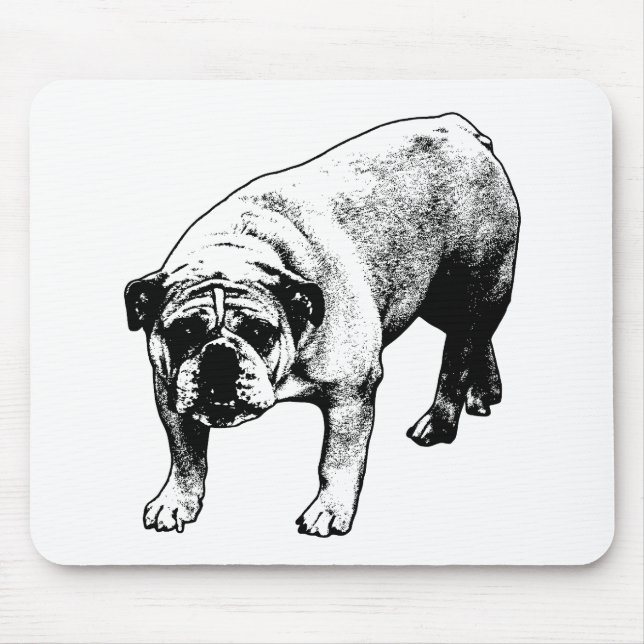Desk Snow Quiet Mouse Mat (Front)