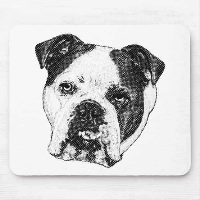Desk Snow Quiet Pad Mouse Mat (Front)