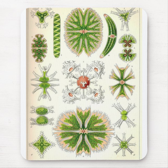 Desmid Mousepad (Front)