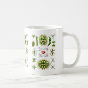 Desmids Coffee Mug