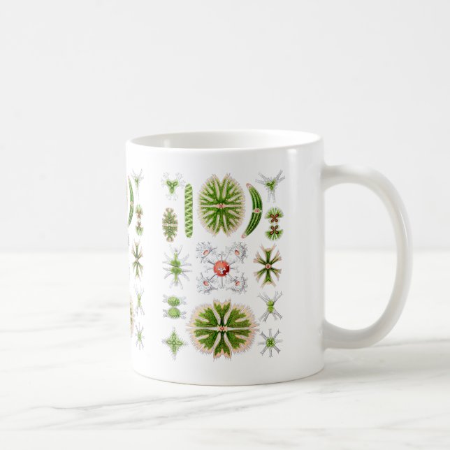 Desmids Coffee Mug (Right)
