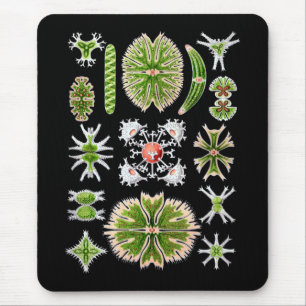 Desmids Mouse Mat