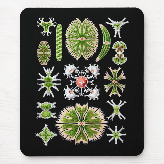 Desmids Mouse Mat (Front)