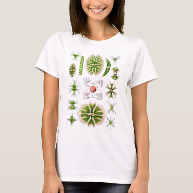 Desmids T-Shirt (Front)