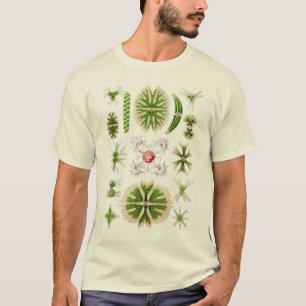 Desmids T-Shirt