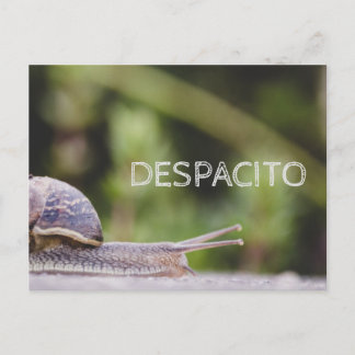 Despacito Postcard