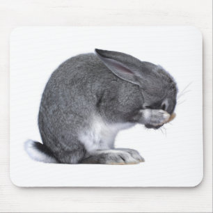 Despairing Rabbit Mouse Mat