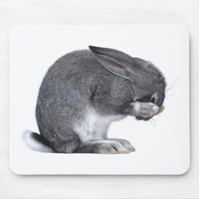 Despairing Rabbit Mouse Mat (Front)