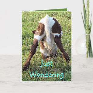 Dessa's baby calf 2-customise any occasion card
