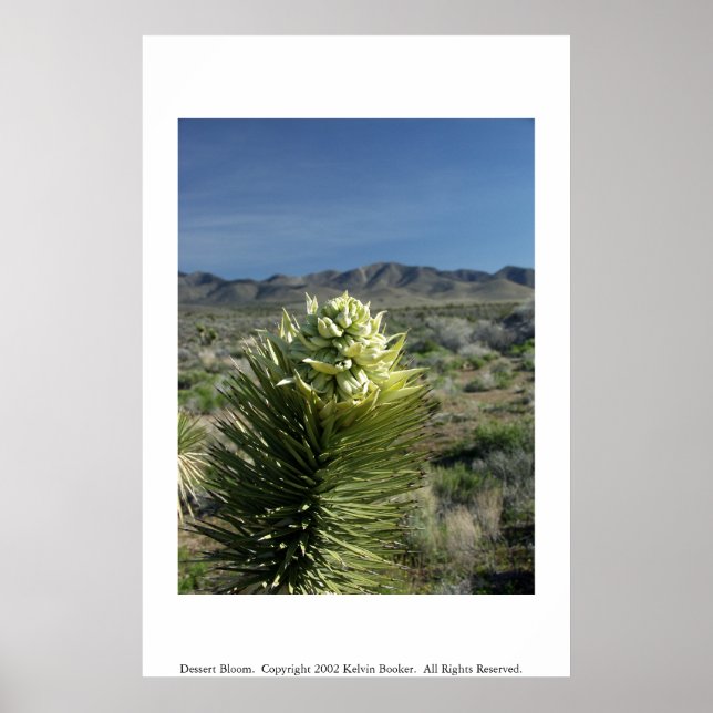 Dessert Bloom Poster (Front)