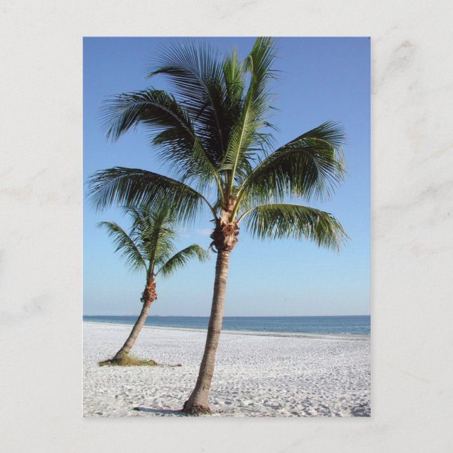 Destin Florida Postcard (Front)