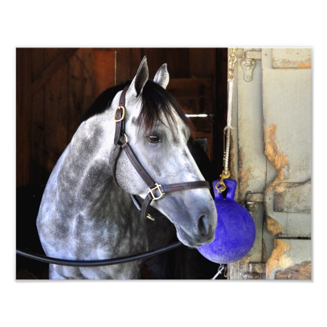 Destin Photo Print (Front)