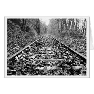 Destination Unknown