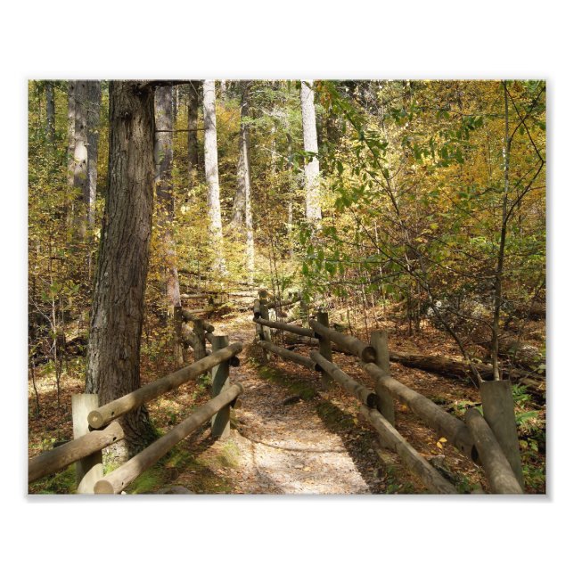 Destiny 10x8 Photographic Print (Front)