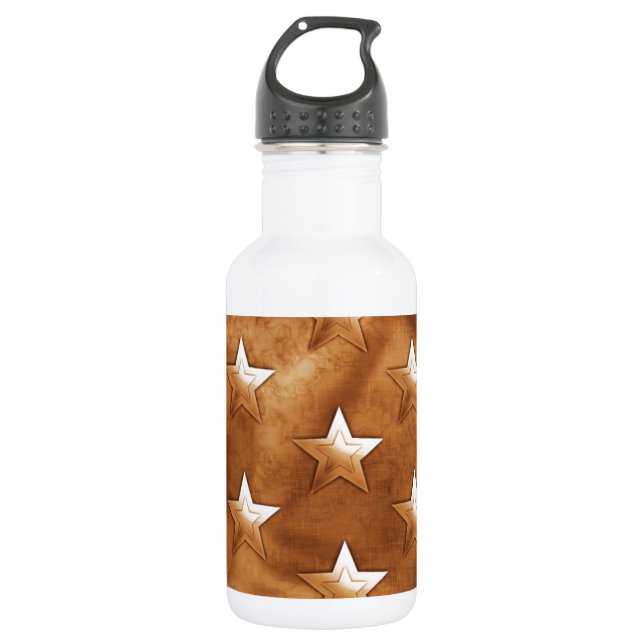 Destiny 532 Ml Water Bottle (Front)