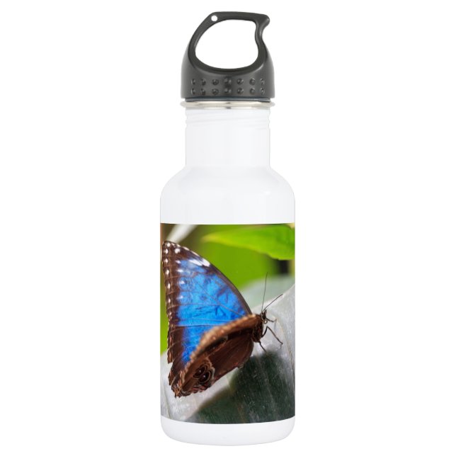 Destiny 532 Ml Water Bottle (Front)