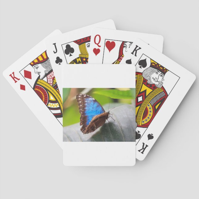 Destiny Gifts Playing Cards (Back)