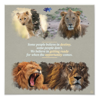 Destiny or opportunity? photo print