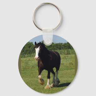 destiny running keychain