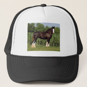 destiny trucker hat