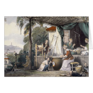 Destroying the Chrysalids and Reeling the Cocoons,