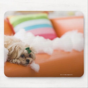 Destructive dog mouse mat