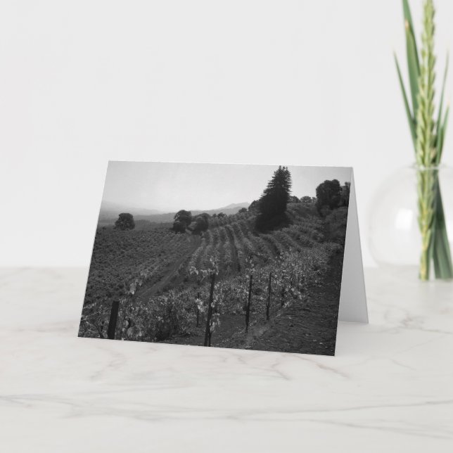 Detail, Draper Vineyards near St. Helena, 1966 Card (Front)