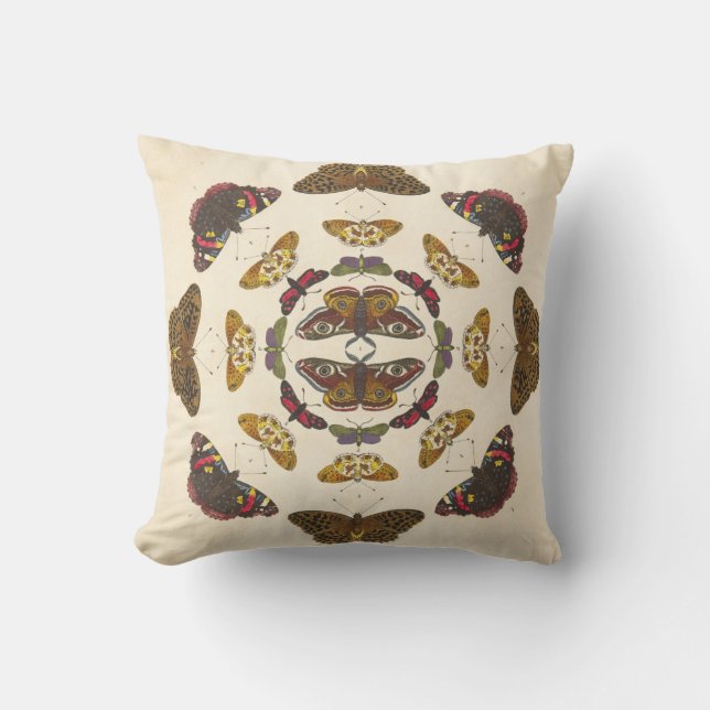Detail from Plate VII Cushion (Front)