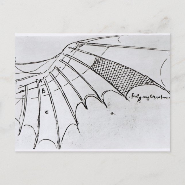 Detail of a mechanical wing postcard (Front)