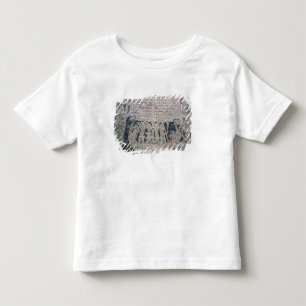 Detail of a picture stone toddler T-Shirt
