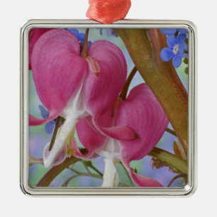 Detail of bleeding hearts and Brunnera Jack Metal Tree Decoration