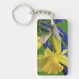 Detail of daffodil and hyacinth flowers. Credit Key Ring