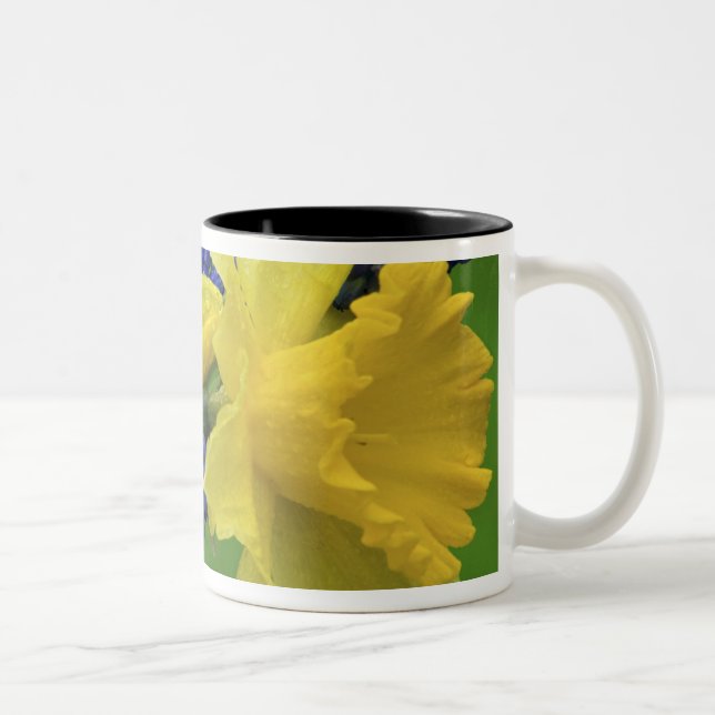 Detail of daffodil and hyacinth flowers. Credit Two-Tone Coffee Mug (Right)
