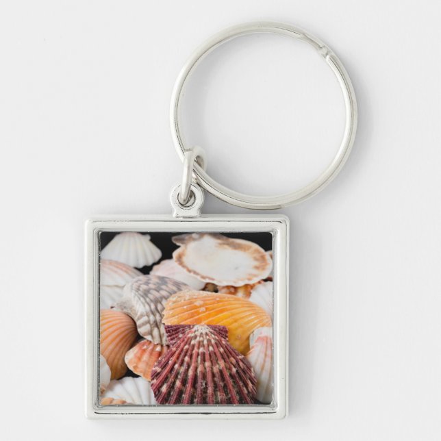 Detail Of Seashells From Around The World 2 Key Ring (Front)