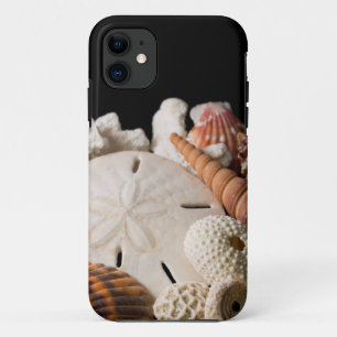 Detail Of Seashells From Around The World iPhone 11 Case