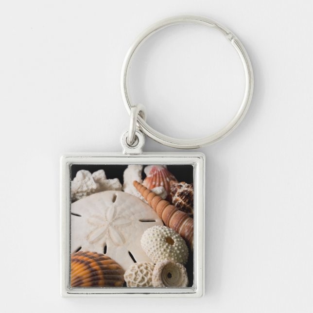 Detail Of Seashells From Around The World Key Ring (Front)