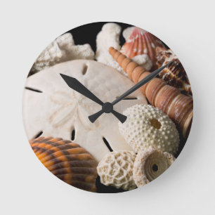 Detail Of Seashells From Around The World Round Clock