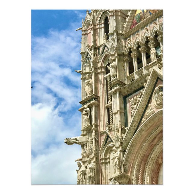 Detail of the Duomo in Siena, Italy Photo Print (Front)