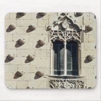 Detail of the exterior of the Casa de la Conchas