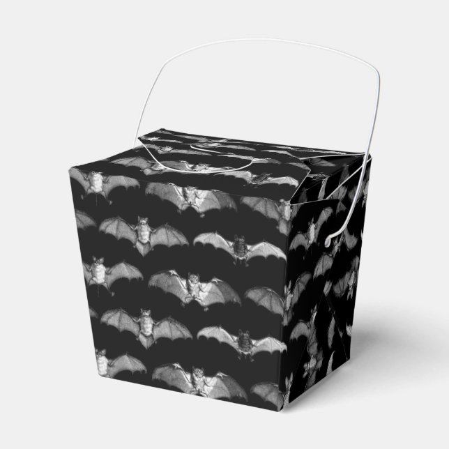 Detailed Bats Species Illustrations Pattern Black Favour Box (Front Side)