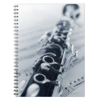 Detailed Clarinet